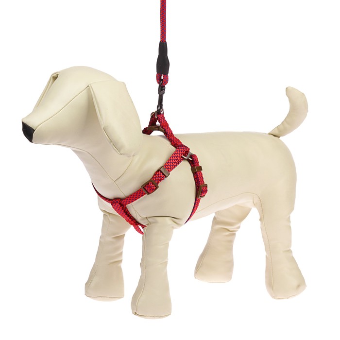 Комплект "Глянец" с круглым поводком и мягкой ручкой, 1 см, нейлон, красный