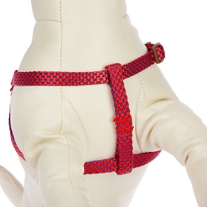 Комплект "Глянец" с круглым поводком и мягкой ручкой, 1 см, нейлон, красный