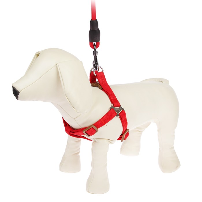 Комплект "Ривер" с круглым поводком и мягкой ручкой, 1,5 см, красный