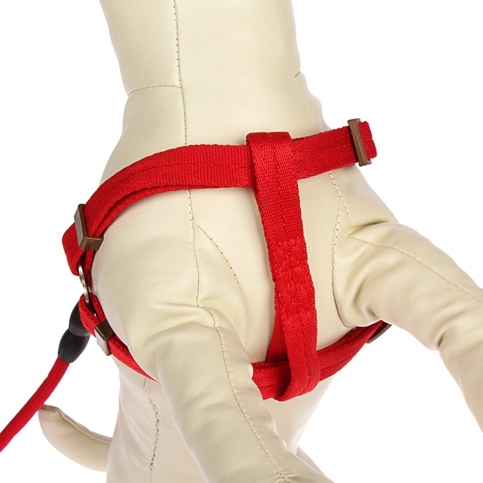 Комплект "Ривер" с круглым поводком и мягкой ручкой, 1,5 см, красный