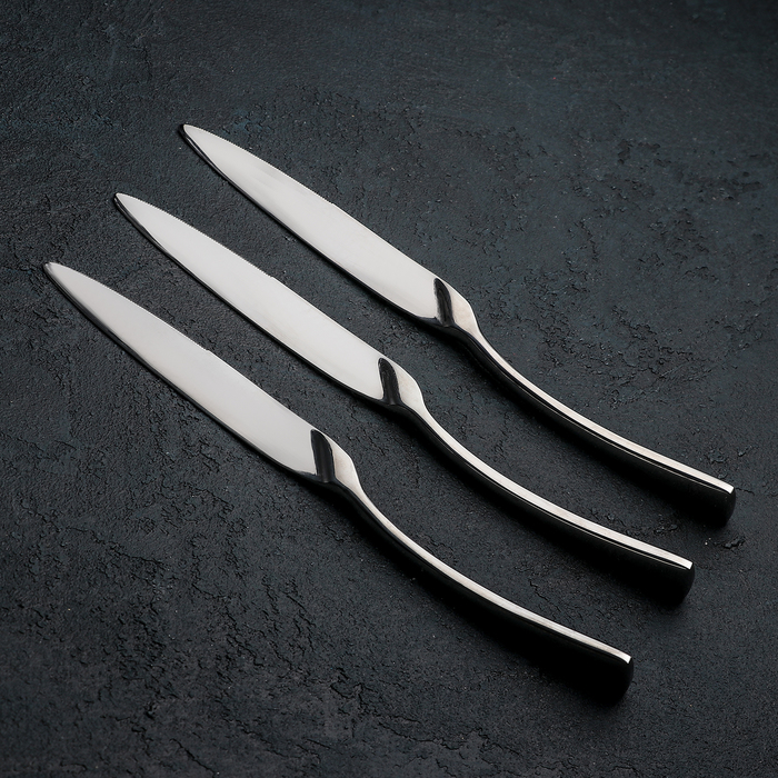 Набор ножей столовых 25,5 см "Стелс", 3 шт