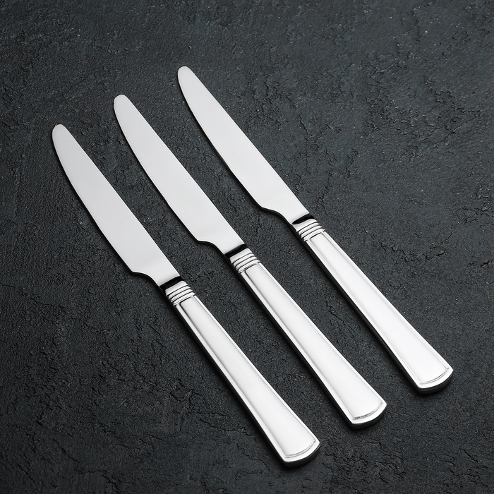 Набор ножей столовых 23 см "Классика", 3 шт