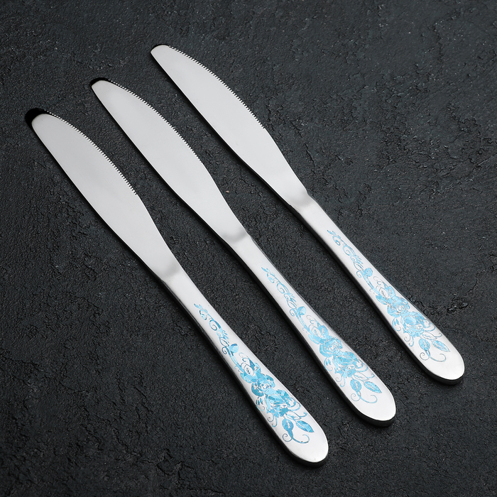 Набор столовых ножей 22,4х2 см "Голубая роза", 3 шт