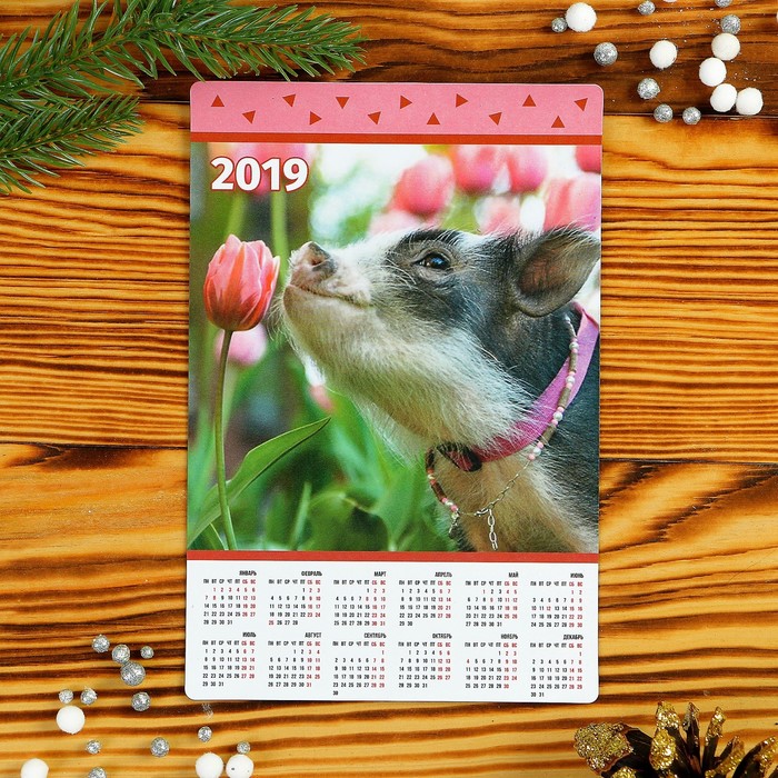 Набор календарей-магнитов 12х18см "Символ года - 2019" 8 штук