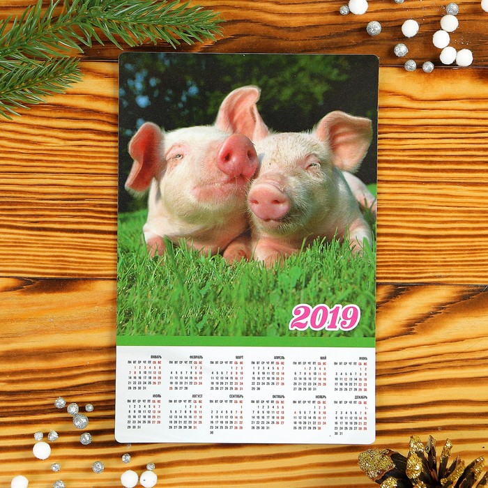 Набор календарей-магнитов 12х18см "Символ года - 2019" 8 штук