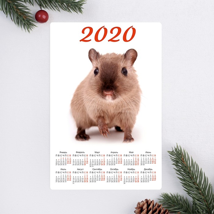 Календарь-магнит "Поросёнок в пятнышках" 2019 год, 12х18см