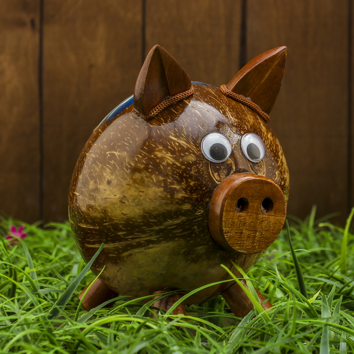 Сувенир "Копилка-свинка из Африки" 14х10х14 см МИКС