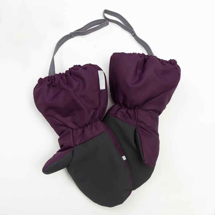Рукавицы Эмбер, 5 лет, цвет серо-фиолетовый, 90814-81