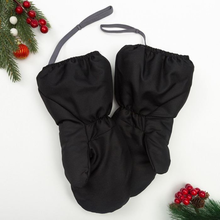 Рукавицы Эмбер, 5 лет, цвет черный,90814-81