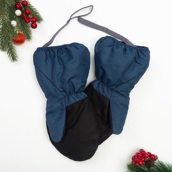 Рукавицы Эмбер, 6 лет, цвет темно-синий, 90814-81