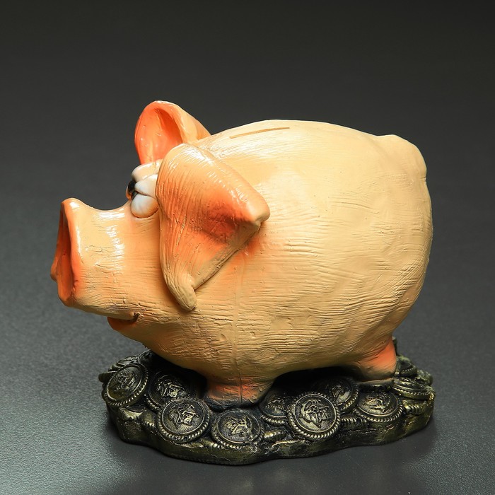 Копилка "Поросенок на деньгах" 14,5х19х14см
