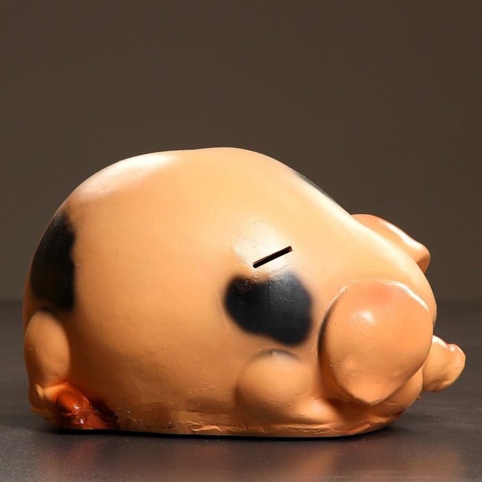 Копилка "Свинка большая лежит" 20х30х24см