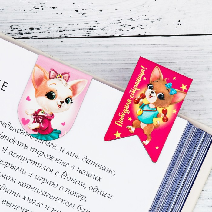 Магнитные закладки на подложке-сумочке "Учись! Старайся! Улыбайся!", 12 шт.