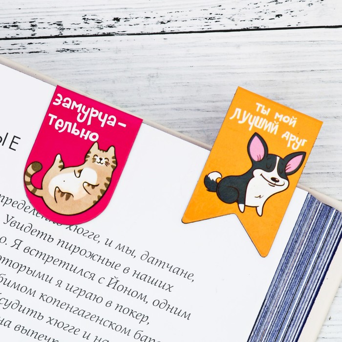 Магнитные закладки на подложке-сумочке "Твои подручные закладки", 12 шт.