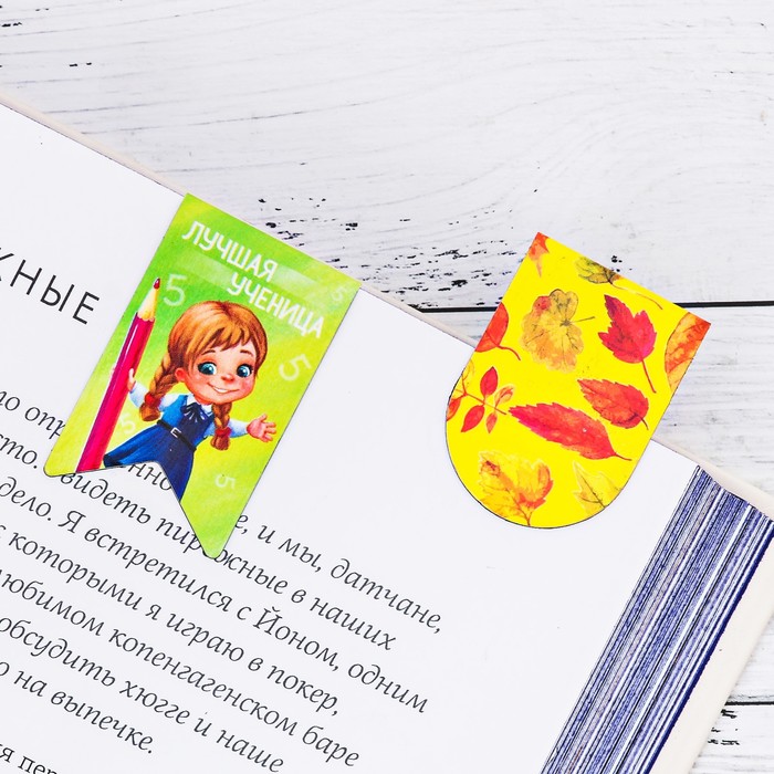 Магнитные закладки на подложке-сумочке "Твой мир знаний", 12 шт.