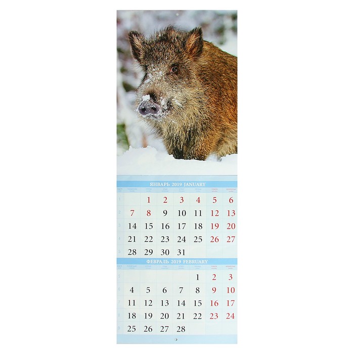 Календарь на скрепке "Символ года - 3" 2019 год, 21,5х29,5см