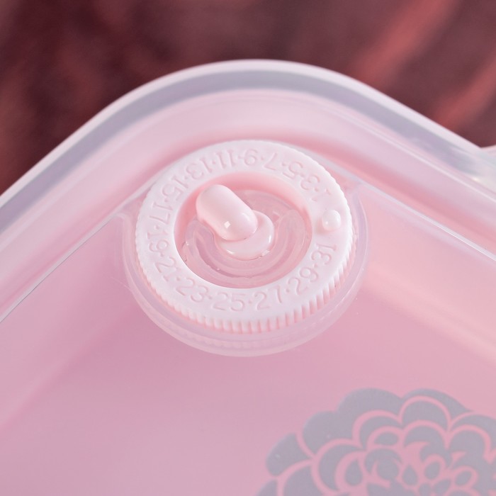 Ланч-бокс 2 уровня 19х14,5х10 см , цвета МИКС