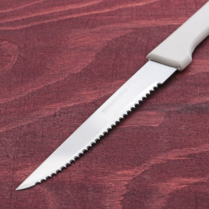 Нож "Лони" зубчатое лезвие 10 см