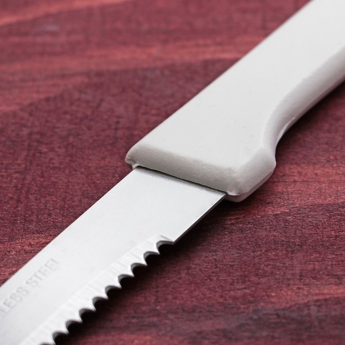 Нож "Лони" зубчатое лезвие 10 см