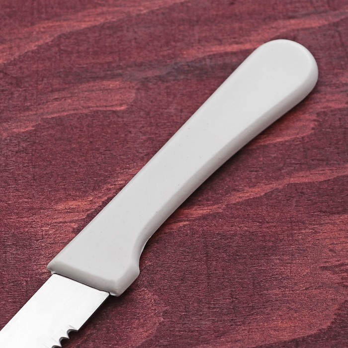 Нож "Лони" зубчатое лезвие 10 см