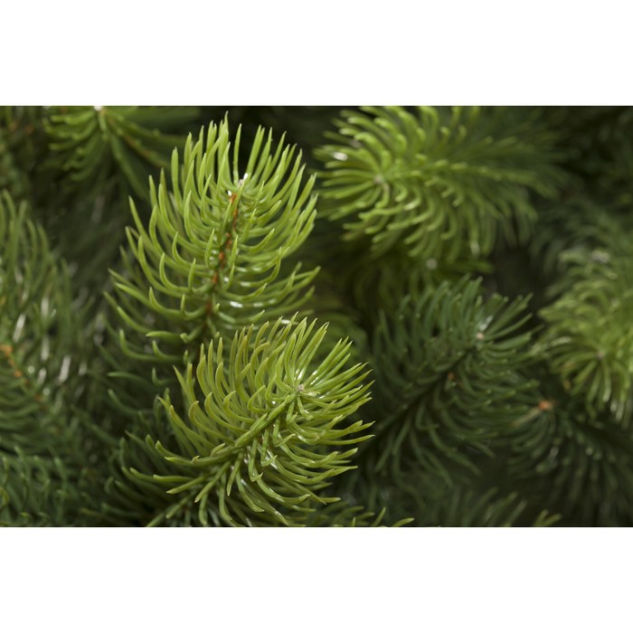 Ёлка искусственная "Русская красавица", 225 см