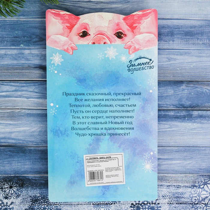 Набор подарочный "Запиши свой Новый Год" 2 карандаша ч/г+2 ластика+блокнот