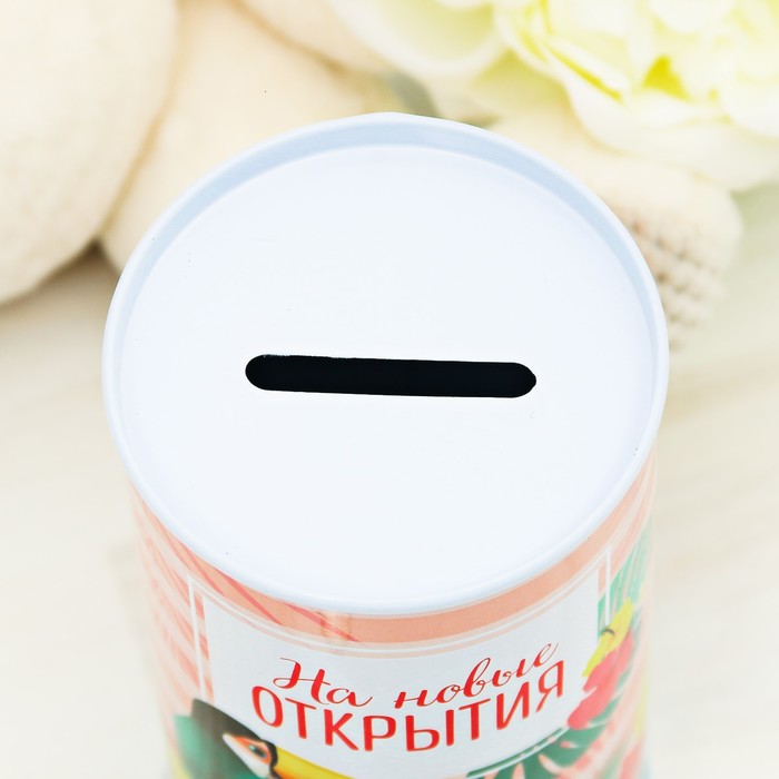 Копилка "На новые открытия"