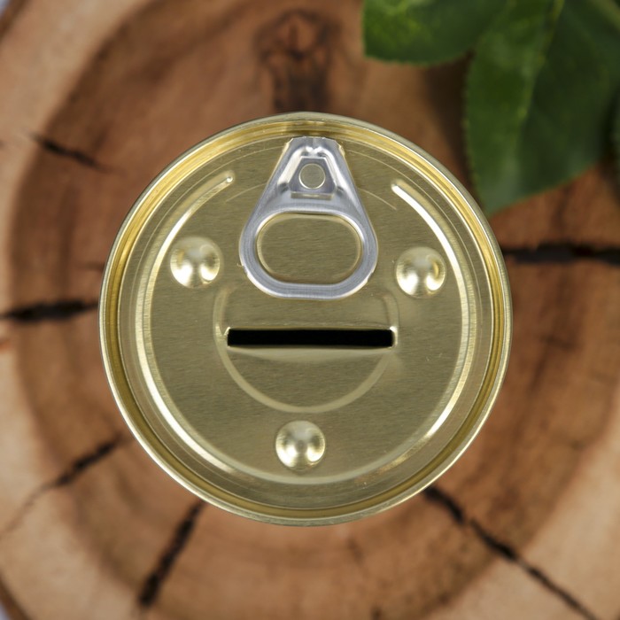 Копилка-банка металл "На мечту" 9,5х7,7х7,7 см