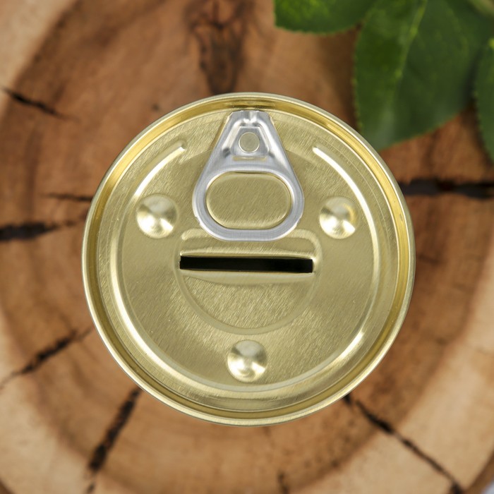 Копилка-банка металл "Мой первый миллион" 9,5х7,7х7,7 см