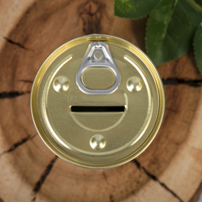 Копилка-банка металл "Пусть мечты сбываются" 9,5х7,7х7,7 см