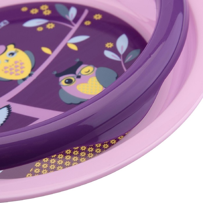 Тарелочка для вторых блюд «Совы»/«Еноты», от 4 мес., цвета МИКС