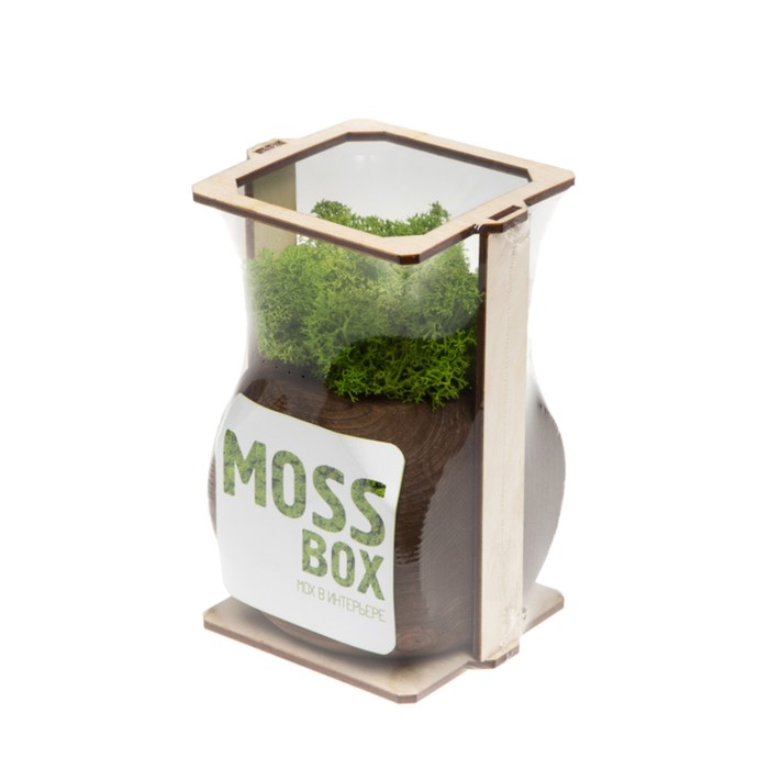 Стабилизированный мох "MossBox Fire Green Dice"