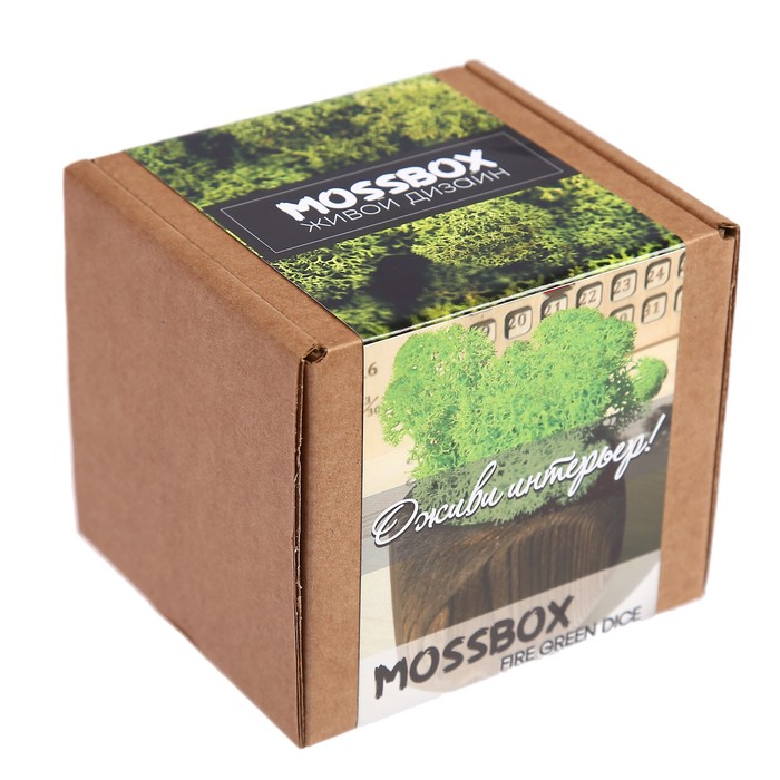 Стабилизированный мох "MossBox Fire Green Dice"