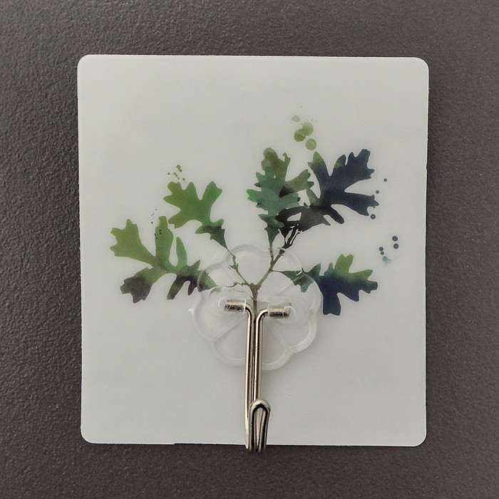 Крючок-наклейка "Ростения", цвет МИКС, рисунок МИКС