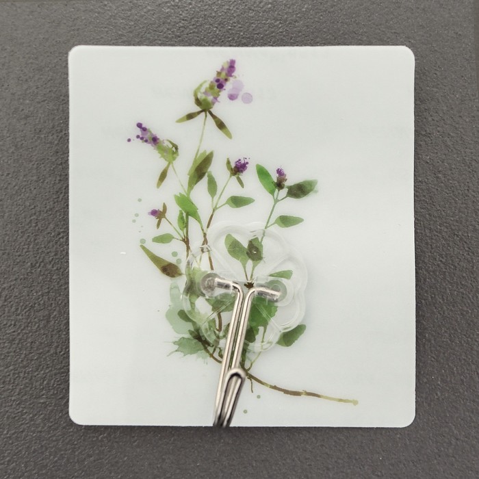 Крючок-наклейка "Ростения", цвет МИКС, рисунок МИКС