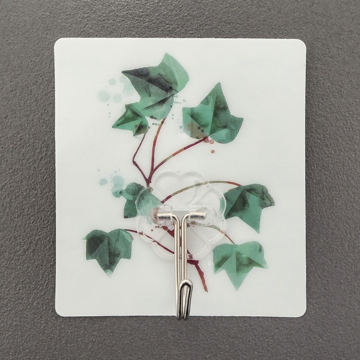 Крючок-наклейка "Ростения", цвет МИКС, рисунок МИКС