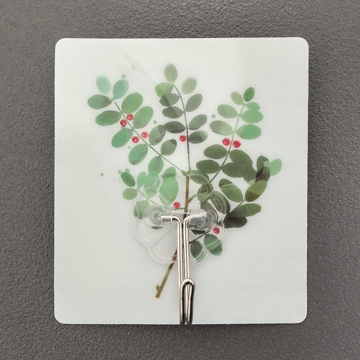 Крючок-наклейка "Ростения", цвет МИКС, рисунок МИКС