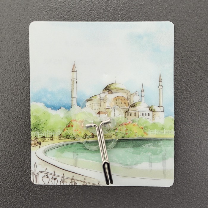 Крючок-наклейка "Раздолье", цвет МИКС, рисунок МИКС