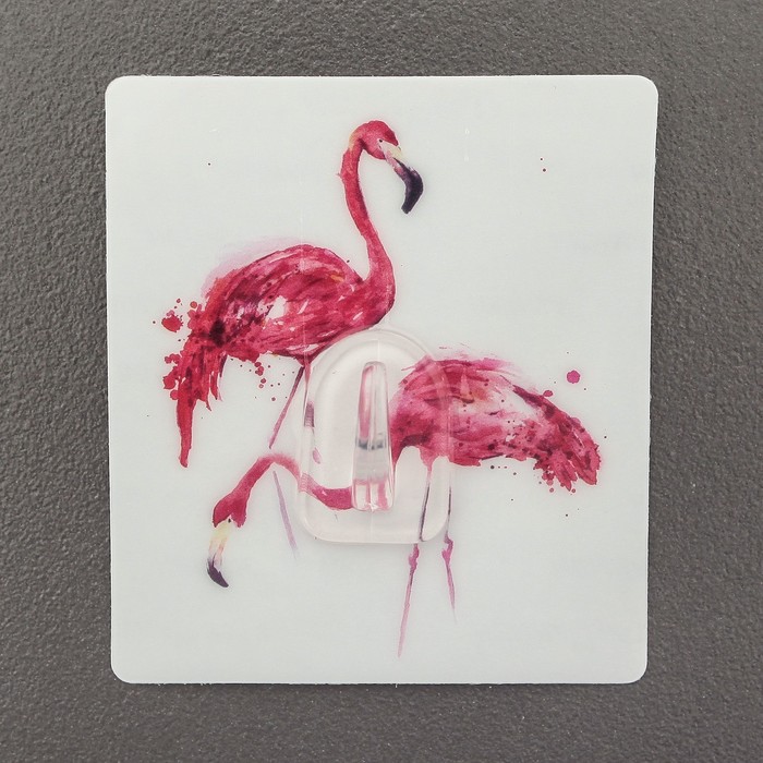 Крючок-наклейка "Графика природа", цвет МИКС, рисунок МИКС