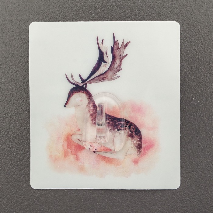 Крючок-наклейка "Графика природа", цвет МИКС, рисунок МИКС