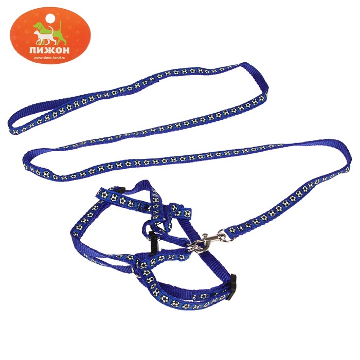 Комплект прошитый "Футбол", ширина 1 см, поводок 120 см, шлейка 23-32 см, синий