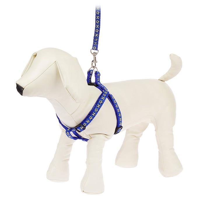 Комплект прошитый "Футбол", ширина 1 см, поводок 120 см, шлейка 23-32 см, синий