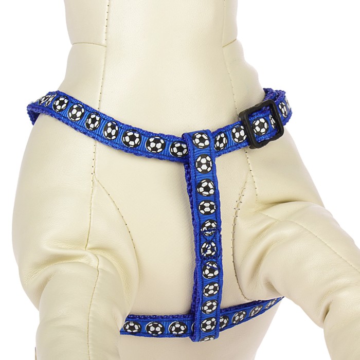 Комплект прошитый "Футбол", ширина 1 см, поводок 120 см, шлейка 23-32 см, синий