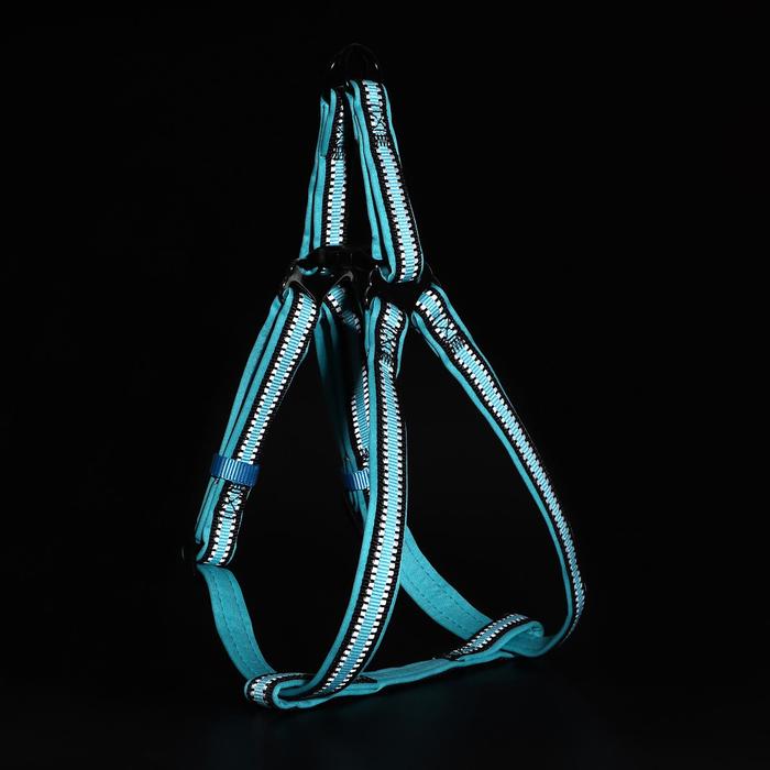 Шлейка двуслойная неопрен и полиэстер, светоотражающая, 2 х 44-68 см, синяя