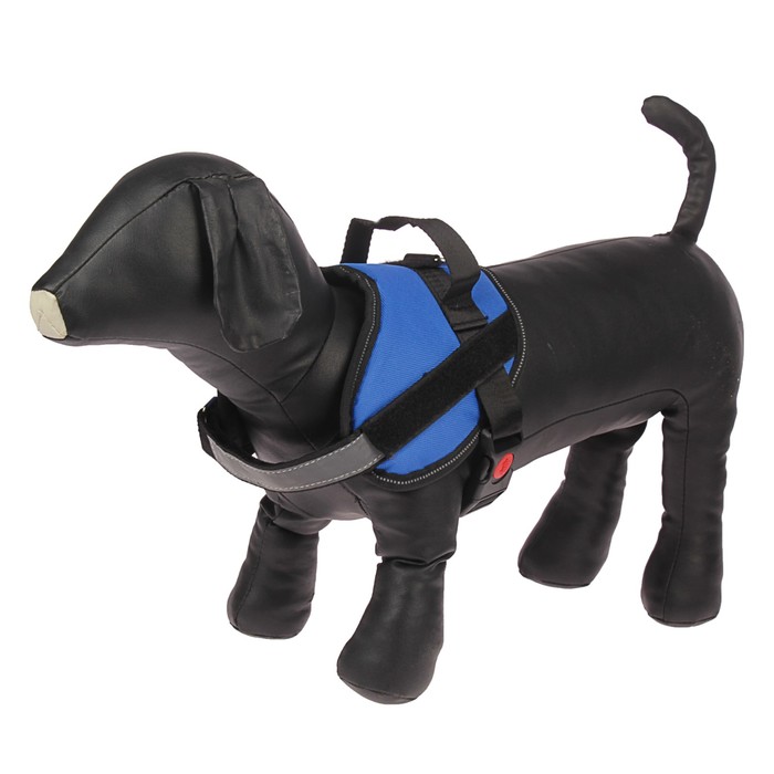 Шлейка мягкая, светоотражающая на шее, размер S, ОШ 42±8 см (липучка), ОГ 43-54 см, синяя