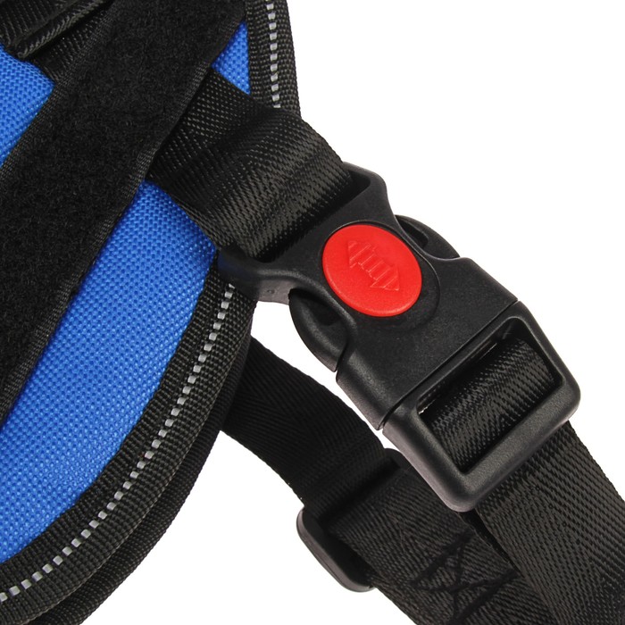 Шлейка мягкая, светоотражающая на шее, размер S, ОШ 42±8 см (липучка), ОГ 43-54 см, синяя