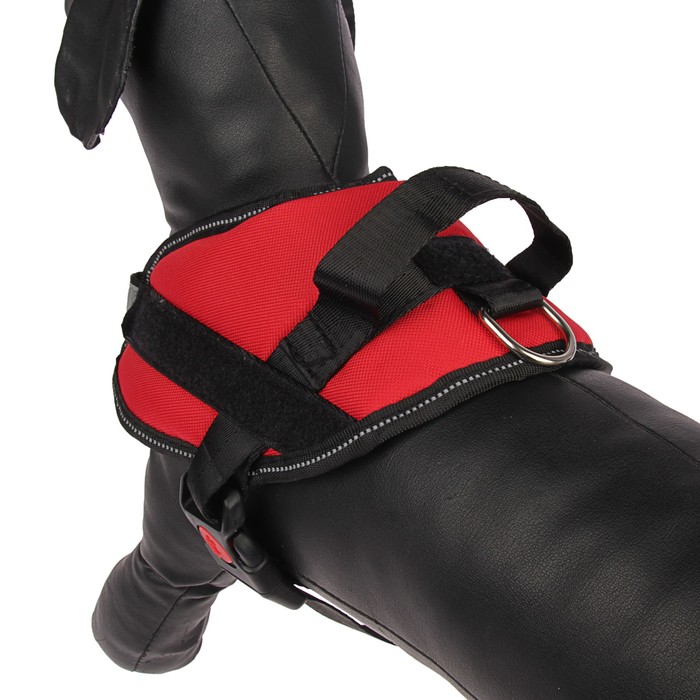 Шлейка мягкая, светоотражающая на шее, размер S, ОШ 42±8 см (липучка), ОГ 43-54 см, красная 327614