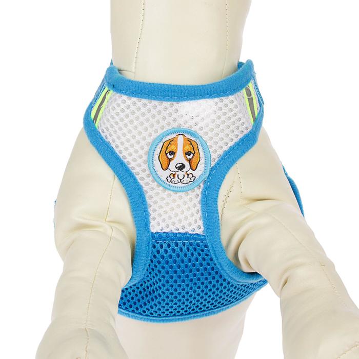 Шлейка регулируемая дышащая, светоотражающая, размер S, голубая