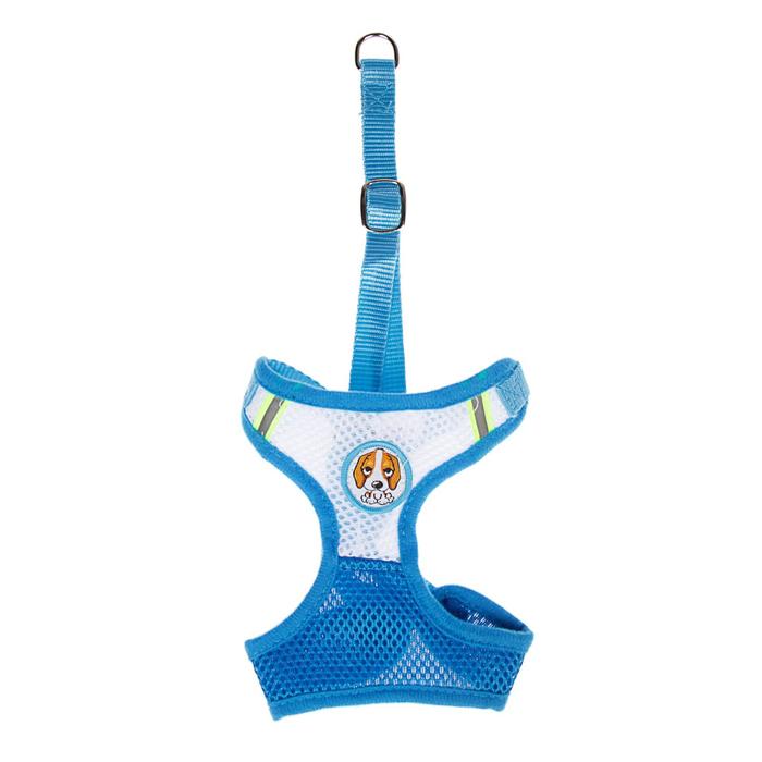 Шлейка регулируемая дышащая, светоотражающая, размер S, голубая