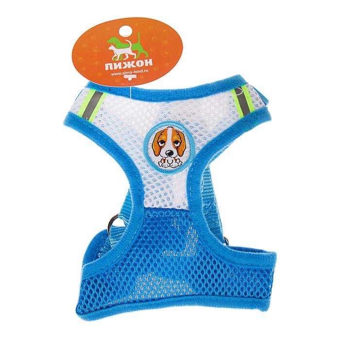 Шлейка регулируемая дышащая, светоотражающая, размер S, голубая